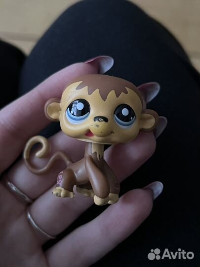 Лпс для Анны