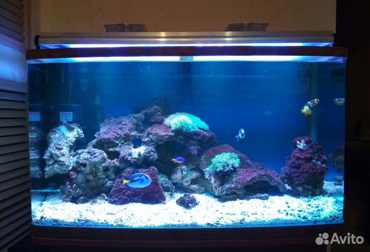 LED светильники для рифовых аквариумов