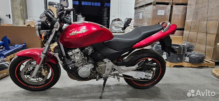 Honda hornet