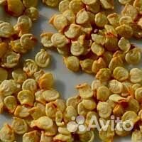 Семена перца декоративного(съедобного )