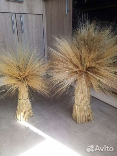 Сухоцветы, пшеница, осенние венки