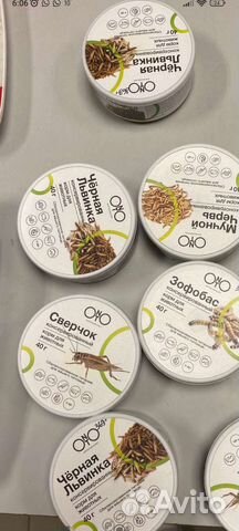 Корм для животных Сверчок,Зофобас,мучной червь