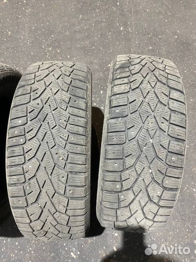 Gislaved Nord Frost 5 195/60 R15