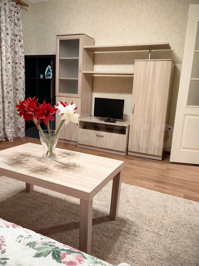 1-к. квартира, 47,2 м², 9/9 эт.