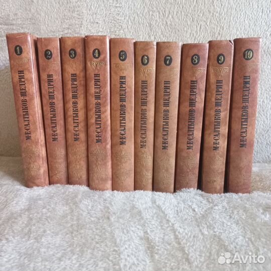 10 книг.Салтыков Щедрин