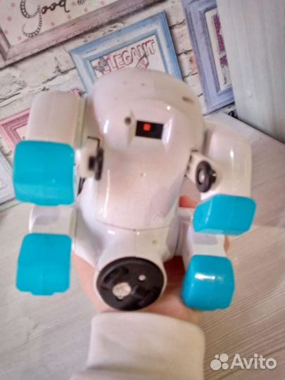 Собака робот