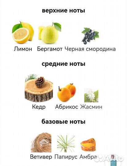 Cedre Atlas Atelier Cologne для мужчин и женщин