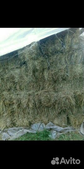 Сено разнотравие