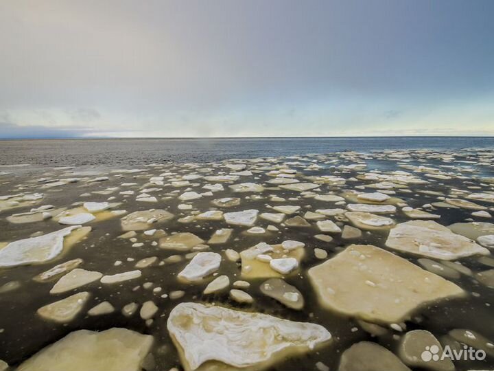 Архангельск Топ-Экскурсия К Белому морю на остров