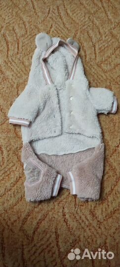 Костюм для собаки