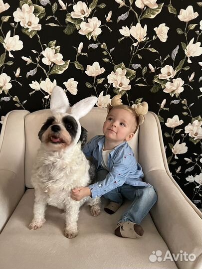 Рубашка hm 92