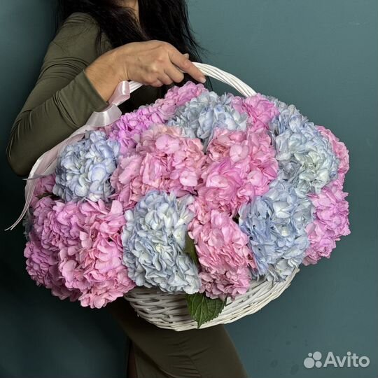 Букет из гортензий 21 31 51 101 гортензия