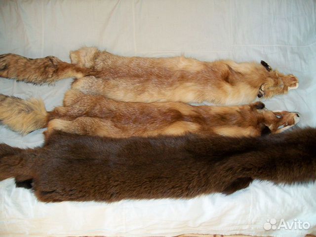 Шкуры лис и барсука