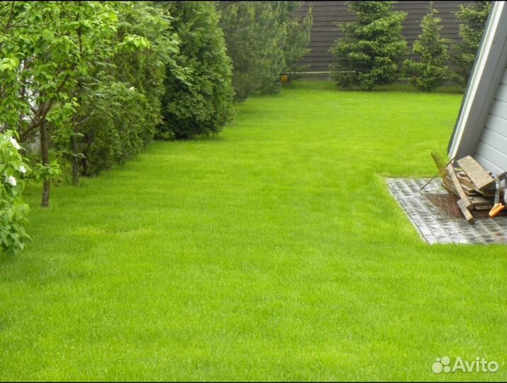 Рулонный газон укладка
