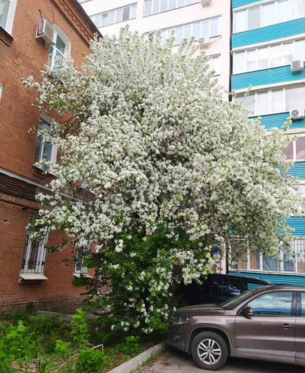 3-к. квартира, 75 м², 2/3 эт.