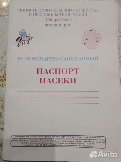 Мед с Алтая