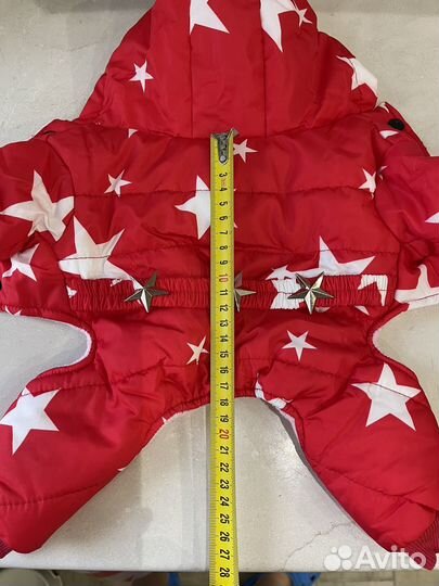 Одежда для собак