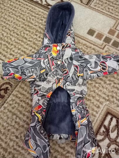 Одежда для маленьких собак