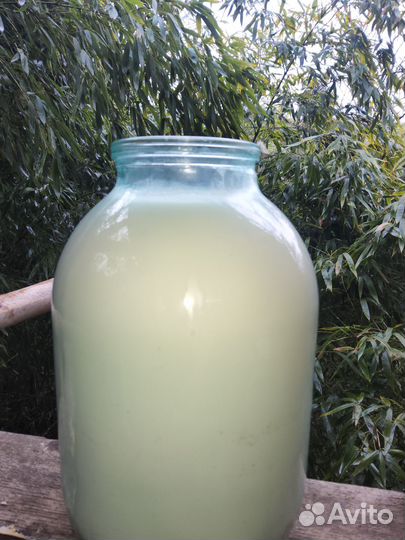 Молоко овечье,сыр,йогурт,мацони,сгущенка