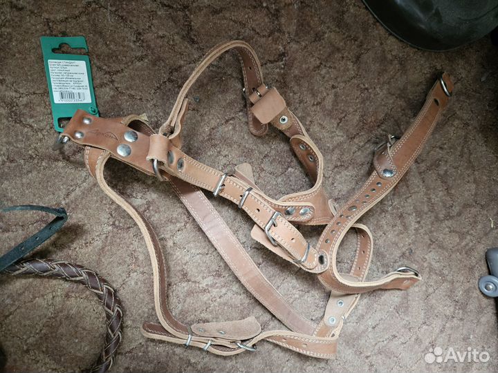 Шлейка и поводок