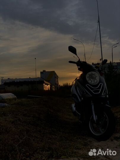 Racer Sagita