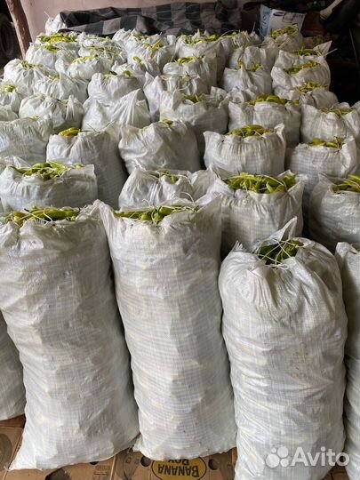 Перец цицак сладкий