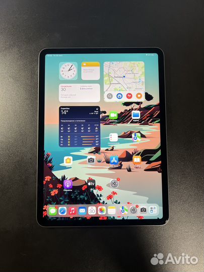 iPad Pro 11 M1 Wi-Fi скол