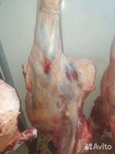 Продукты питания