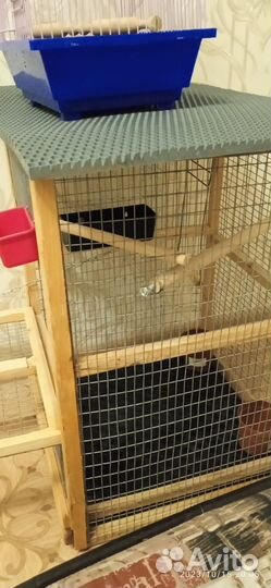 Клетка для попугая
