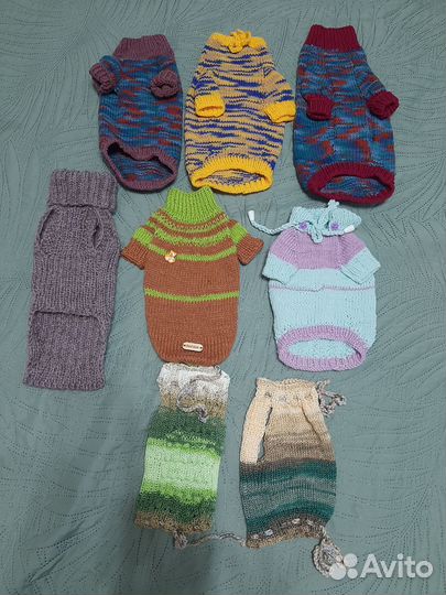 Вязаная одежда для мелких пород собак