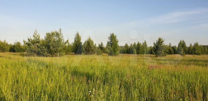 Участок 7 сот. (ИЖС)