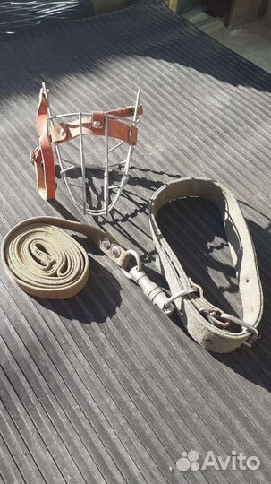 Ошейник для крупной собаки