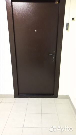 Дверь металлическая