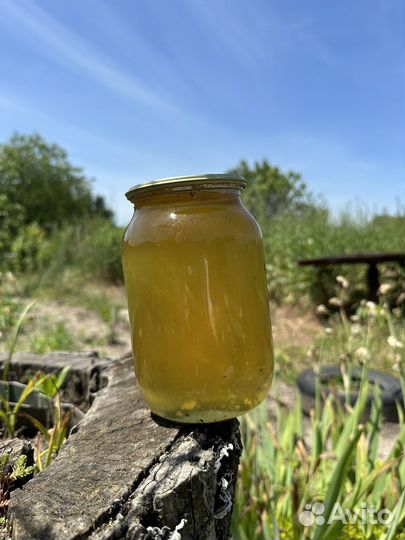 Майский мёд разнотравье