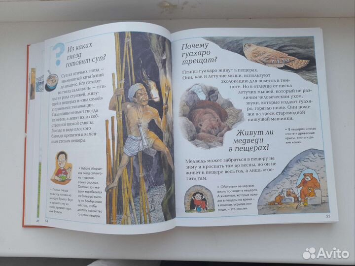 Что, зачем, почему Энциклопедия для детей