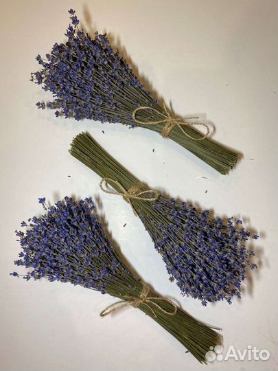 Букеты Лаванды возможна доставка