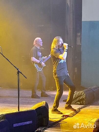 Fender Telecaster HH автограф электрогитара