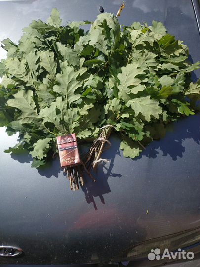 Свежие березовые веники