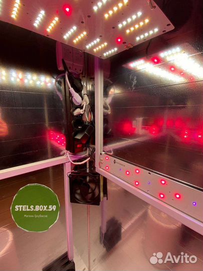 Шкаф гроубокс под ключ