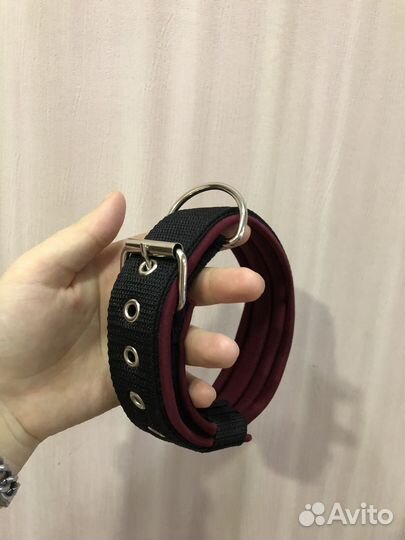 Ошейники и поводки для собак