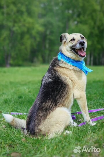 Долго мне не прожить в приюте