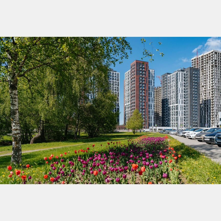2-к. квартира, 54,1 м², 22/22 эт.