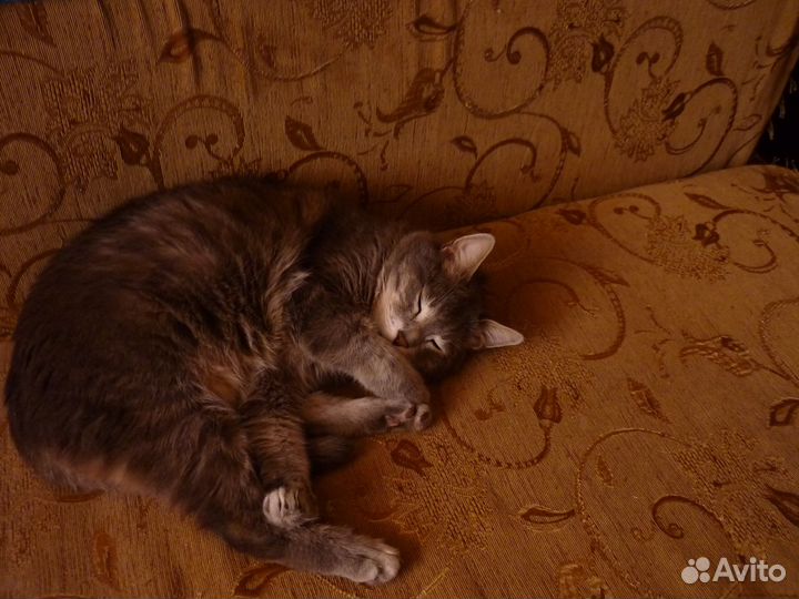 Отличники Соцсоревнования в СССР