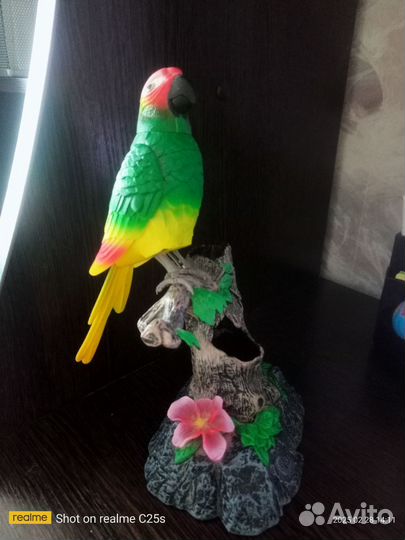 Попугай подставка для карандашей