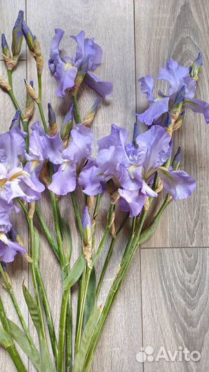Букет цветов ирисы