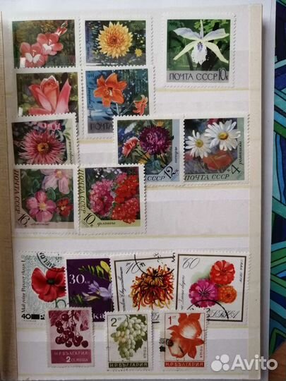 Марки цветы, бабочки, грибы