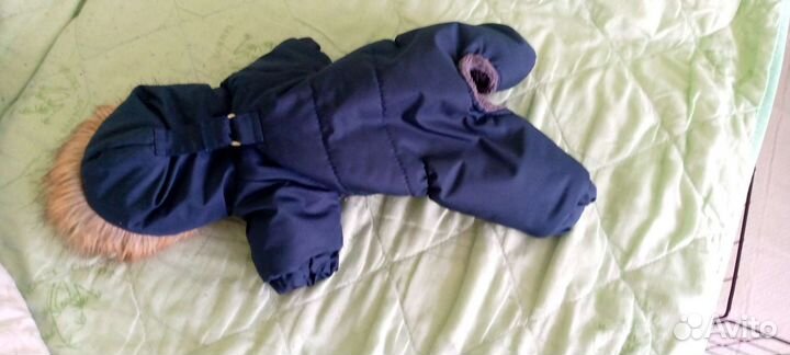 Одежда для маленьких собак