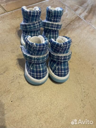 Кеды для собак