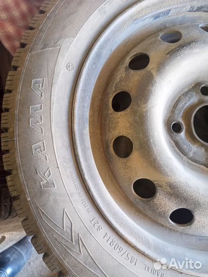 Кама ирбис r14