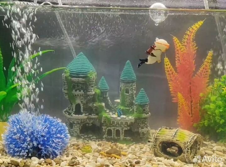 Грот для аквариума растения для аквариума